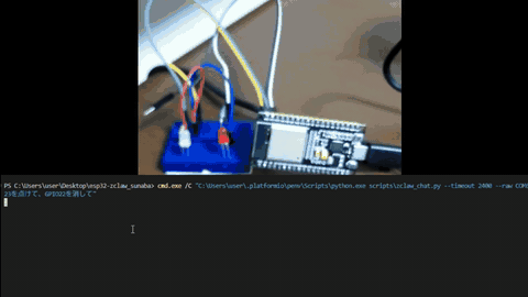 demo